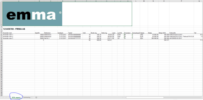 mva rapport 1